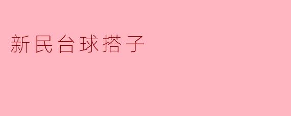 新民台球搭子