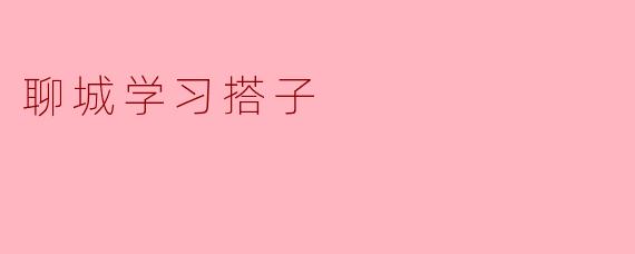 聊城学习搭子