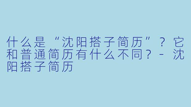 什么是“沈阳搭子简历”？它和普通简历有什么不同？-沈阳搭子简历