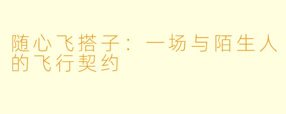 随心飞搭子：一场与陌生人的飞行契约