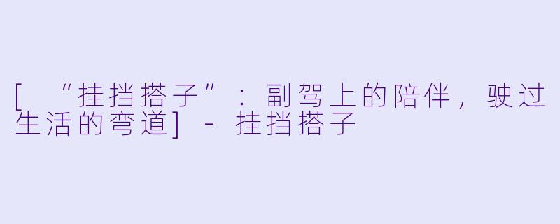 [“挂挡搭子”：副驾上的陪伴，驶过生活的弯道]-挂挡搭子