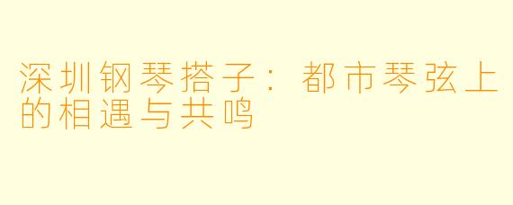 深圳钢琴搭子：都市琴弦上的相遇与共鸣