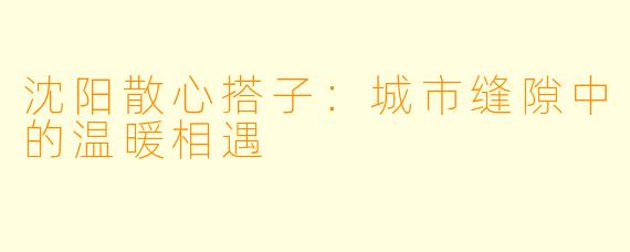 沈阳散心搭子：城市缝隙中的温暖相遇