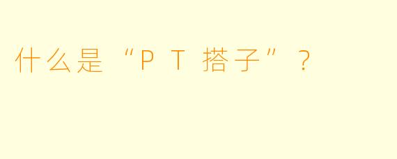 什么是“PT搭子”？