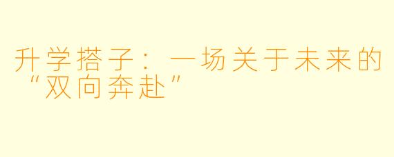 升学搭子：一场关于未来的“双向奔赴”