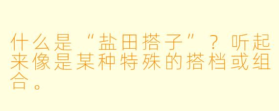 什么是“盐田搭子”？听起来像是某种特殊的搭档或组合。