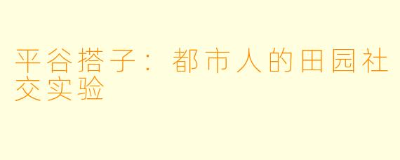 平谷搭子：都市人的田园社交实验