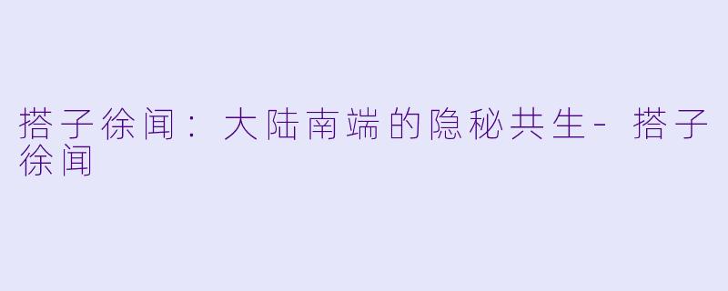 搭子徐闻：大陆南端的隐秘共生-搭子徐闻