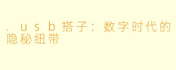 .usb搭子：数字时代的隐秘纽带