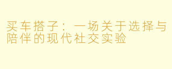 买车搭子：一场关于选择与陪伴的现代社交实验