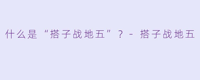 什么是“搭子战地五”？