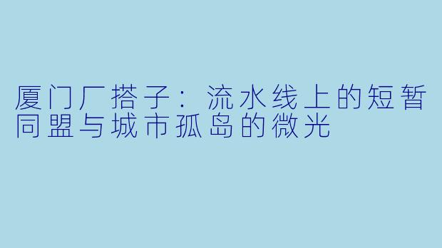 厦门厂搭子：流水线上的短暂同盟与城市孤岛的微光