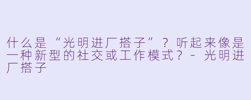 什么是“光明进厂搭子”？听起来像是一种新型的社交或工作模式？-光明进厂搭子