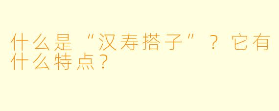 什么是“汉寿搭子”？它有什么特点？