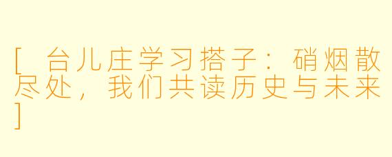 [台儿庄学习搭子：硝烟散尽处，我们共读历史与未来]