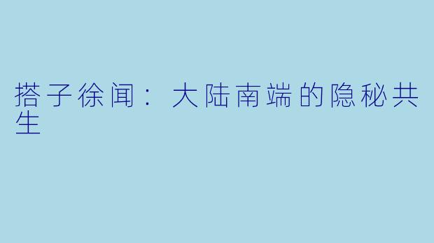 搭子徐闻：大陆南端的隐秘共生