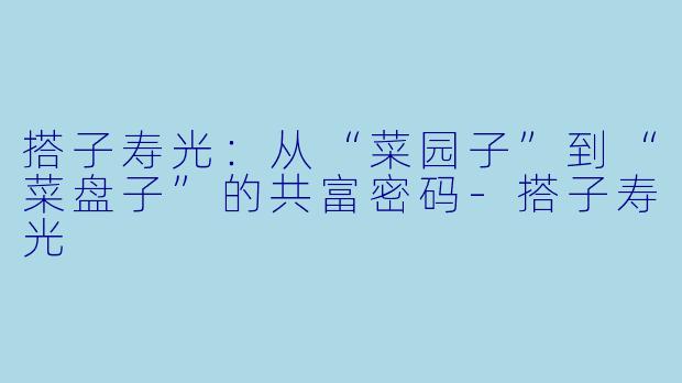 搭子寿光：从“菜园子”到“菜盘子”的共富密码