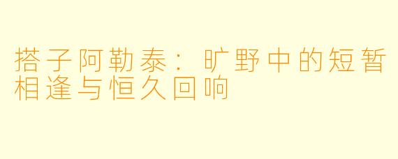 搭子阿勒泰：旷野中的短暂相逢与恒久回响