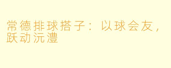 常德排球搭子：以球会友，跃动沅澧