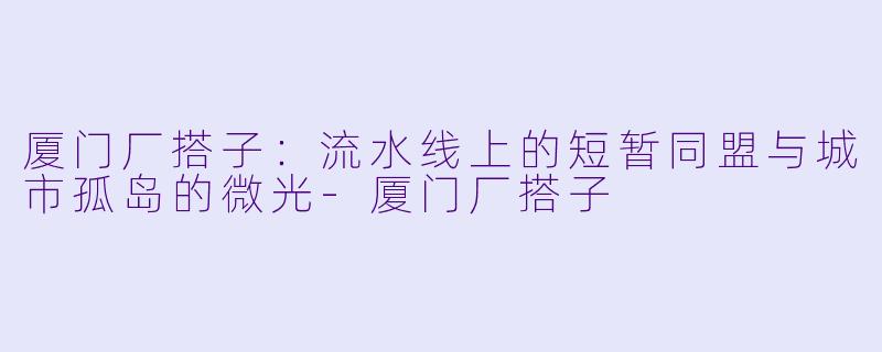 厦门厂搭子:流水线上的短暂同盟与城市孤岛的微光-厦门厂搭子