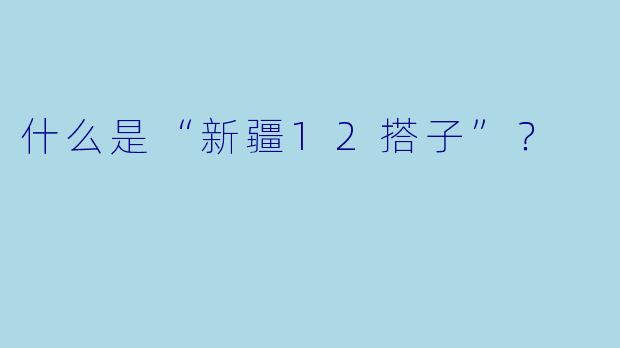 什么是“新疆12搭子”？