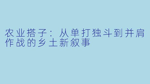 农业搭子：从单打独斗到并肩作战的乡土新叙事