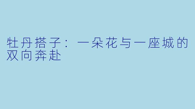 牡丹搭子：一朵花与一座城的双向奔赴