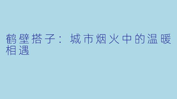 鹤壁搭子:城市烟火中的温暖相遇