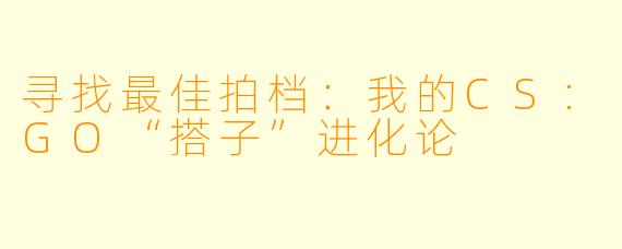 寻找最佳拍档：我的CS:GO“搭子”进化论