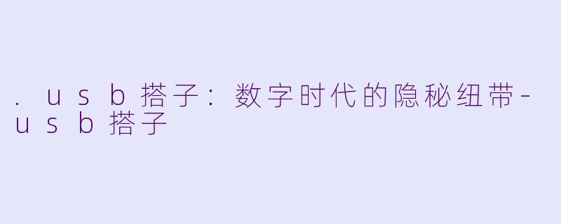 .usb搭子：数字时代的隐秘纽带-usb搭子