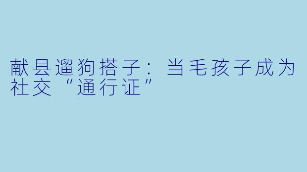 献县遛狗搭子：当毛孩子成为社交“通行证”