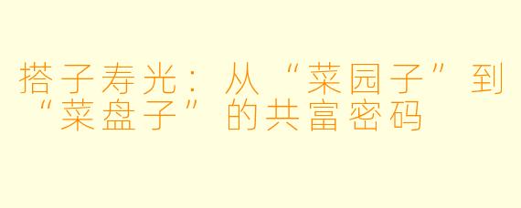 搭子寿光:从“菜园子”到“菜盘子”的共富密码
