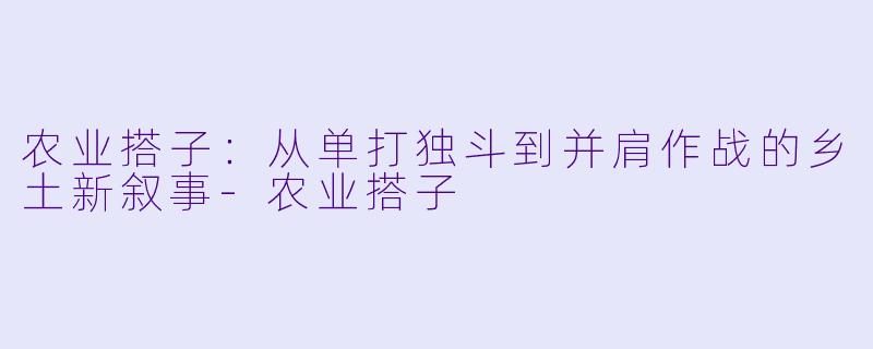 农业搭子：从单打独斗到并肩作战的乡土新叙事-农业搭子