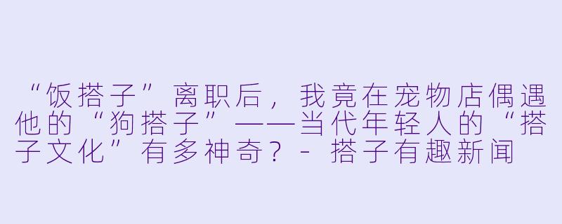“饭搭子”离职后，我竟在宠物店偶遇他的“狗搭子”——当代年轻人的“搭子文化”有多神奇？-搭子有趣新闻