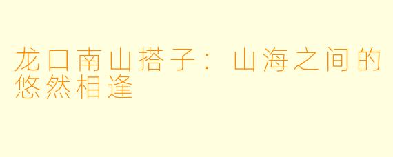 龙口南山搭子：山海之间的悠然相逢
