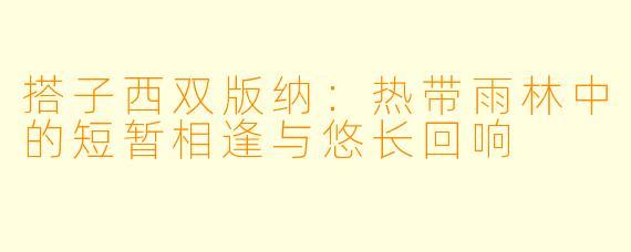 搭子西双版纳：热带雨林中的短暂相逢与悠长回响