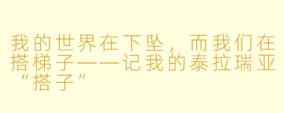 我的世界在下坠，而我们在搭梯子——记我的泰拉瑞亚“搭子”