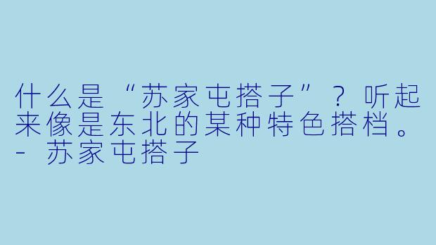 什么是“苏家屯搭子”？听起来像是东北的某种特色搭档。-苏家屯搭子