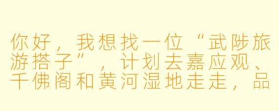 你好，我想找一位“武陟旅游搭子”，计划去嘉应观、千佛阁和黄河湿地走走，品尝一下武陟油茶和砂锅。请问有没有同样喜欢慢节奏游览、对历史文化感兴趣的朋友结伴？希望可以互相拍照、分享旅行感受。