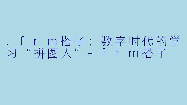 .frm搭子：数字时代的学习“拼图人”-frm搭子