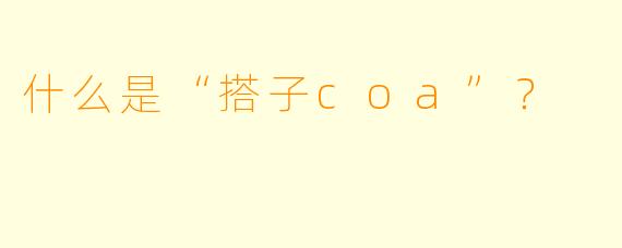 什么是“搭子coa”？
