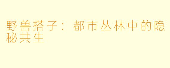 野兽搭子：都市丛林中的隐秘共生