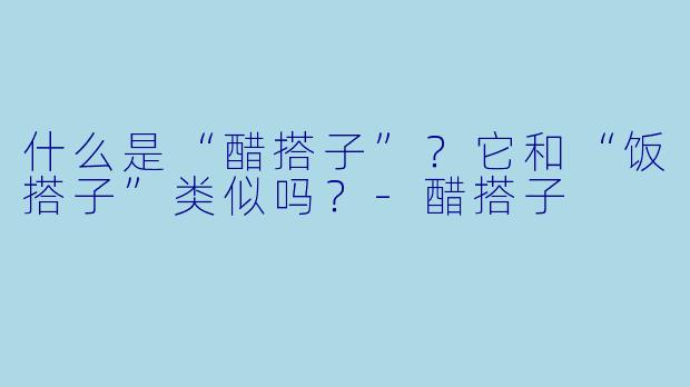 什么是“醋搭子”？它和“饭搭子”类似吗？-醋搭子