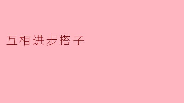 互相进步搭子