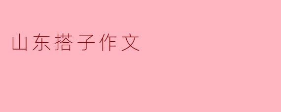 山东搭子作文