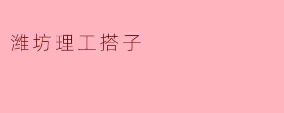 潍坊理工搭子