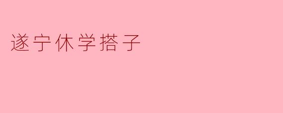 什么是“遂宁休学搭子”？