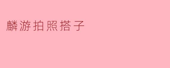 麟游拍照搭子