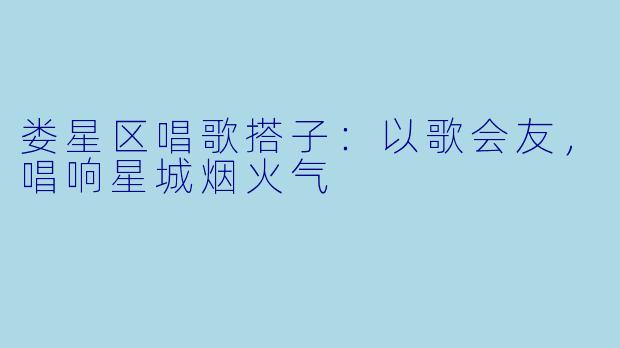 娄星区唱歌搭子:以歌会友,唱响星城烟火气