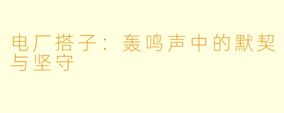 电厂搭子:轰鸣声中的默契与坚守